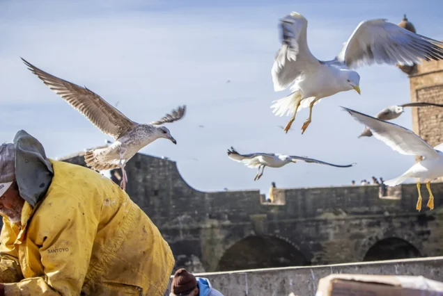 Excursión 2 días desde Agadir al desierto Erg Chegaga