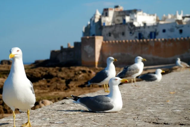 Tour 5 días y 4 noches desde Agadir al Desierto Merzouga