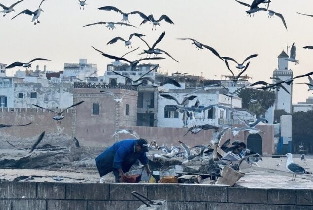 Excursión de un día desde Marrakech a Essaouira, la Perla del Atlántico en Marruecos