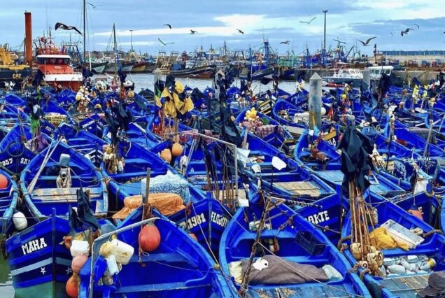 Viajes y Excursiones de Verano en Marruecos (Desierto del Sáhara y Costa Atlántica)