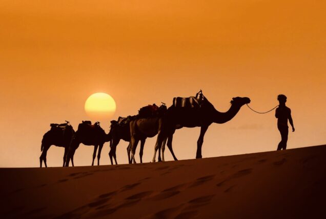 6 días/5 noches de Marrakech a Tánger vía el desierto de Erg Chebbi en Merzouga