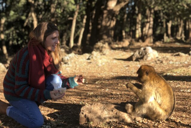 6 días/5 noches de Marrakech a Tánger vía el desierto de Erg Chebbi en Merzouga