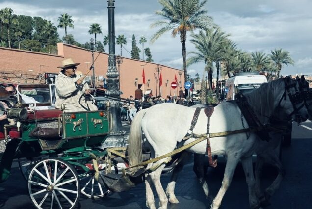 Tour de 5 días y 4 noches desde Marrakech por las Ciudades Imperiales