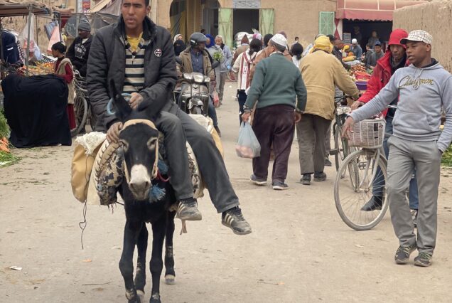 viaje de 4 días y 3 noches al desierto de Merzouga y las cascadas de Ouzoud.