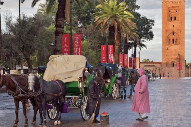 Excursiones y Actividades en el Palmeral de Marrakech: Quad Camello Buggy y Caballo