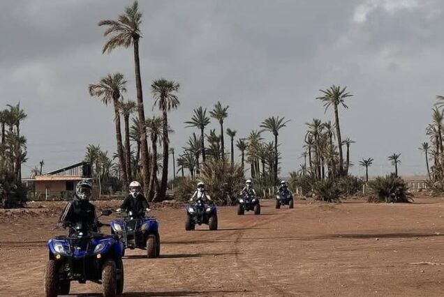 Excursiones y Actividades en el Palmeral de Marrakech: Quad Camello Buggy y Caballo
