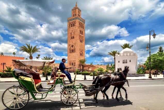 Excursiones y Actividades en el Palmeral de Marrakech: Quad Camello Buggy y Caballo