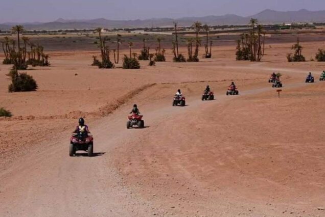 Excursiones y Actividades en el Palmeral de Marrakech: Quad Camello Buggy y Caballo