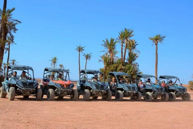 Excursiones y Actividades en el Palmeral de Marrakech: Quad Camello Buggy y Caballo