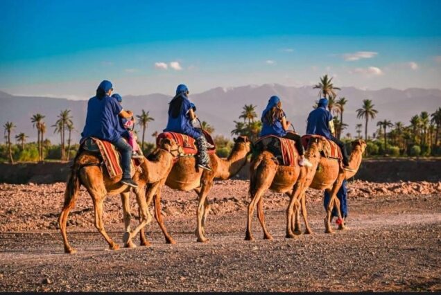 Excursiones y Actividades en el Palmeral de Marrakech: Quad Camello Buggy y Caballo