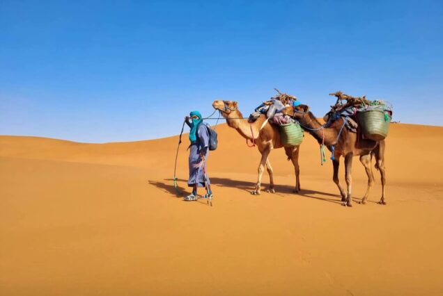 Viaje de 8 días en Marruecos: trekking y senderismo en el desierto del Sáhara