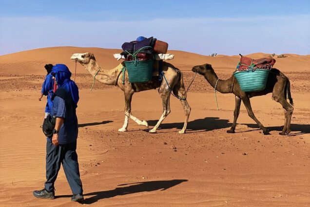 Viaje de 8 días en Marruecos: trekking y senderismo en el desierto del Sáhara