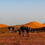Desiertos de Marruecos: Agafay, Merzouga, Zagora, Erg Chegaga
