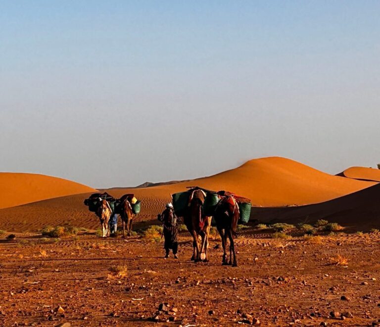 Desiertos de Marruecos: Agafay, Merzouga, Zagora, Erg Chegaga