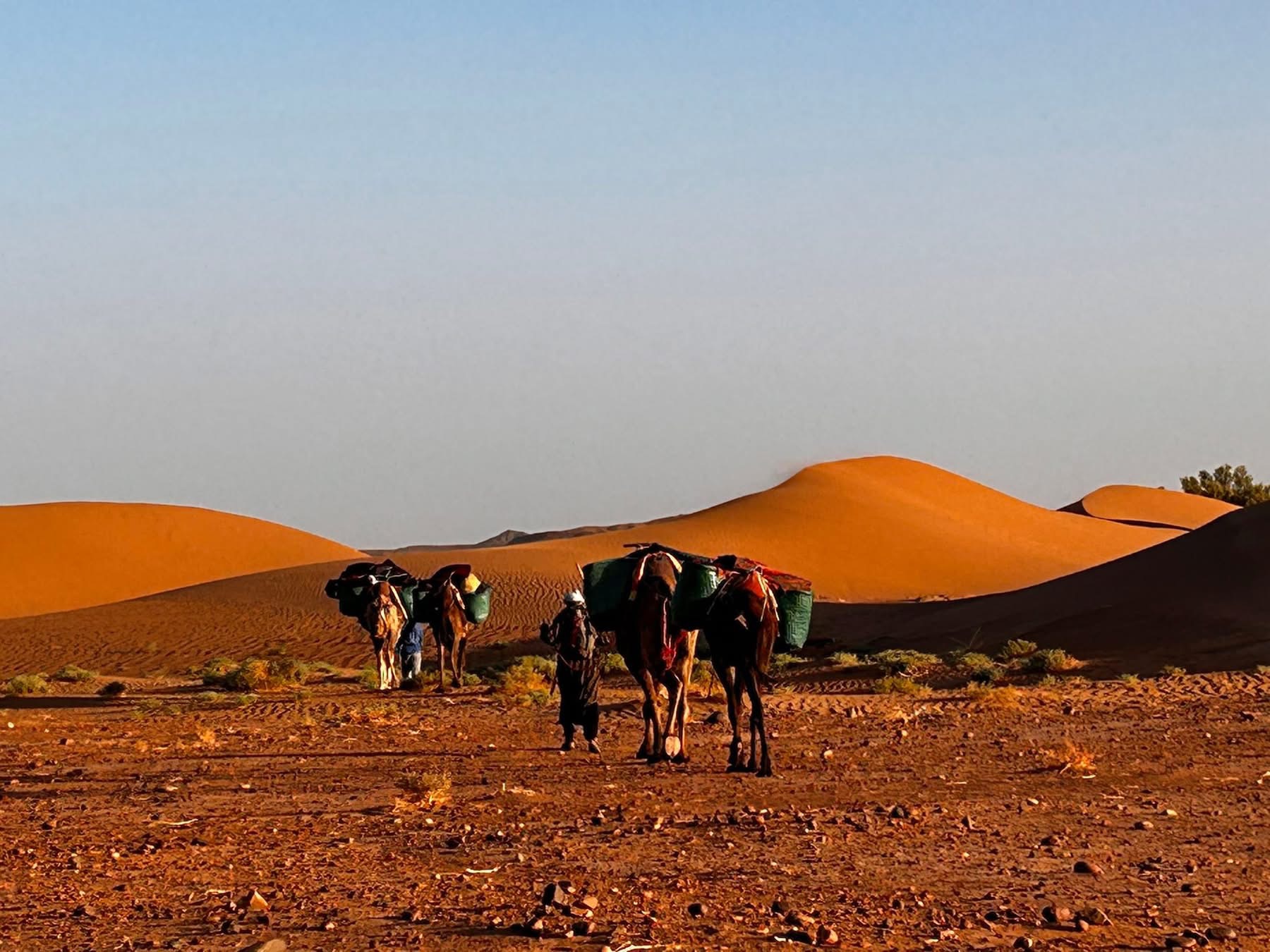Desiertos de Marruecos: Agafay, Merzouga, Zagora, Erg Chegaga