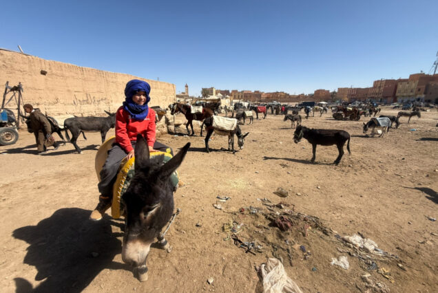 Tour de 8 días y 7 noches desde Marrakech al Desierto del Sáhara y la Costa Atlántica de Essaouira