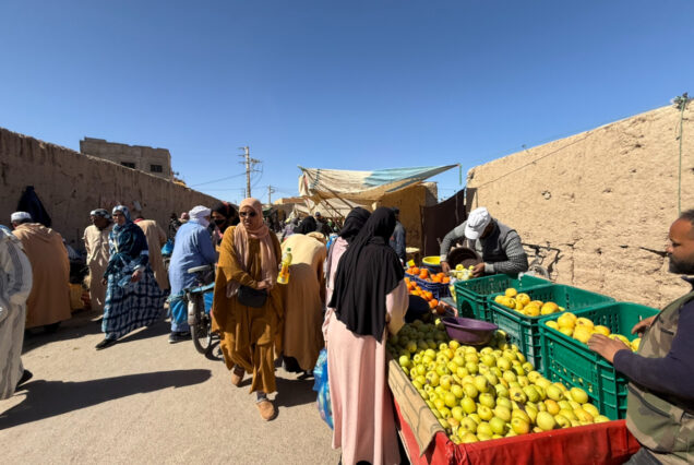 Tour de 8 días y 7 noches desde Marrakech al Desierto del Sáhara y la Costa Atlántica de Essaouira