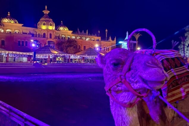 Cena y espectáculo de fantasía en Chez Ali, Marrakech