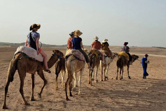 Excursión al Desierto Agafay de Marrakech: quad, buggy y camello