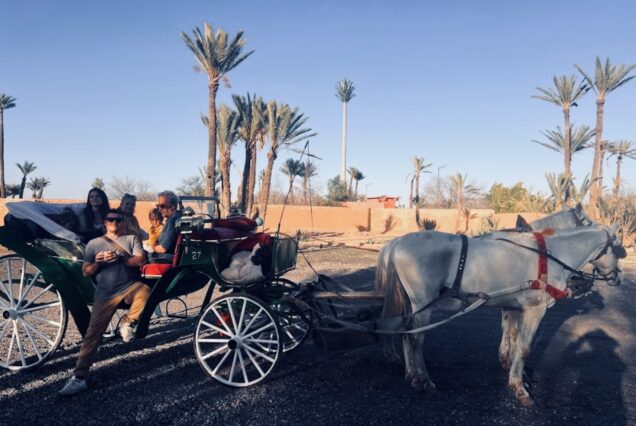 Excursiones y Actividades en el Palmeral de Marrakech: Quad Camello Buggy y Caballo
