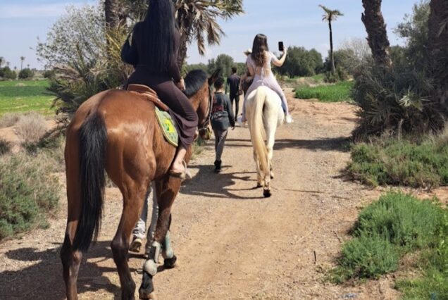 Excursiones y Actividades en el Palmeral de Marrakech: Quad Camello Buggy y Caballo