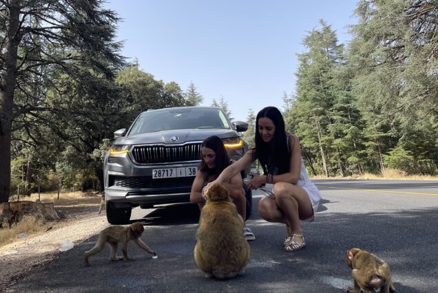 Tour de 5 días y 4 noches desde Marrakech por las Ciudades Imperiales