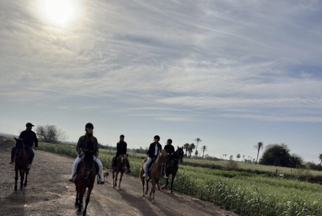 Excursiones y Actividades en el Palmeral de Marrakech: Quad Camello Buggy y Caballo