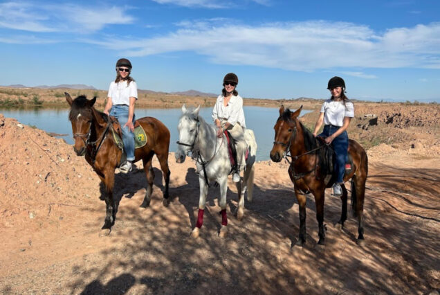 Excursiones y Actividades en el Palmeral de Marrakech: Quad Camello Buggy y Caballo
