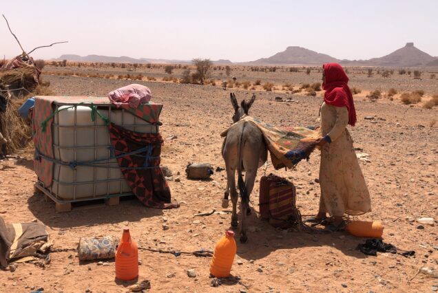 Tour 5 días Marrakech Desierto Merzouga Zagora vía pista de Rally