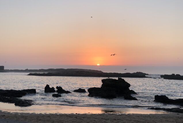 Viaje de Verano al Desierto del Sáhara y la Costa Atlántica de Marruecos