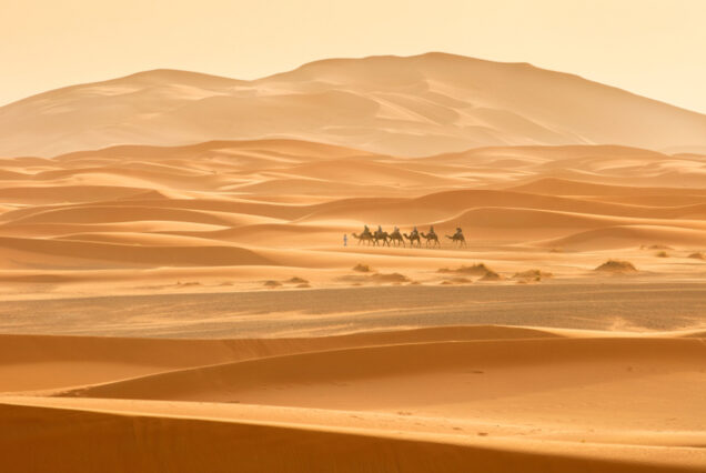 Excursión 3 días y 2 noches desde Marrakech a Fez por el desierto de Merzouga