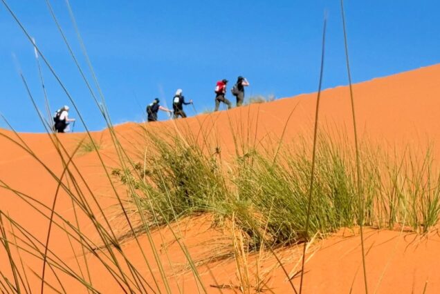 Trekking y Senderismo en el Desierto: Aventura en dunas Sahara