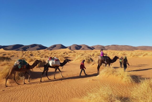 Trekking y Senderismo en el Desierto: Aventura en dunas Sahara