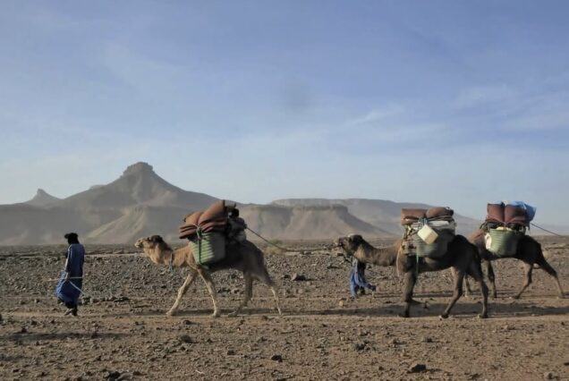 Trekking y Senderismo en el Desierto: Aventura en dunas Sahara