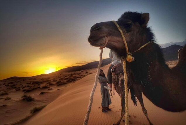 Excursión al Desierto de Marruecos en el Puente de Noviembre y Halloween