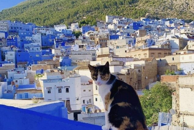 circuito 9 días Marrakech a Tánger vía Fez Chefchaouen y desierto del Sáhara