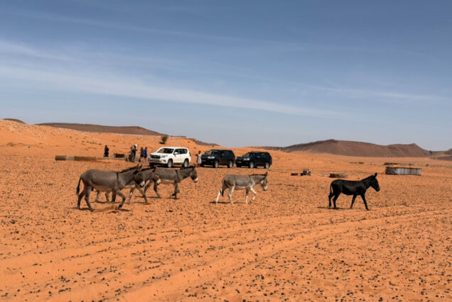 Viaje a Marruecos en 17 días Marrakech Costa Atlántica y Desierto
