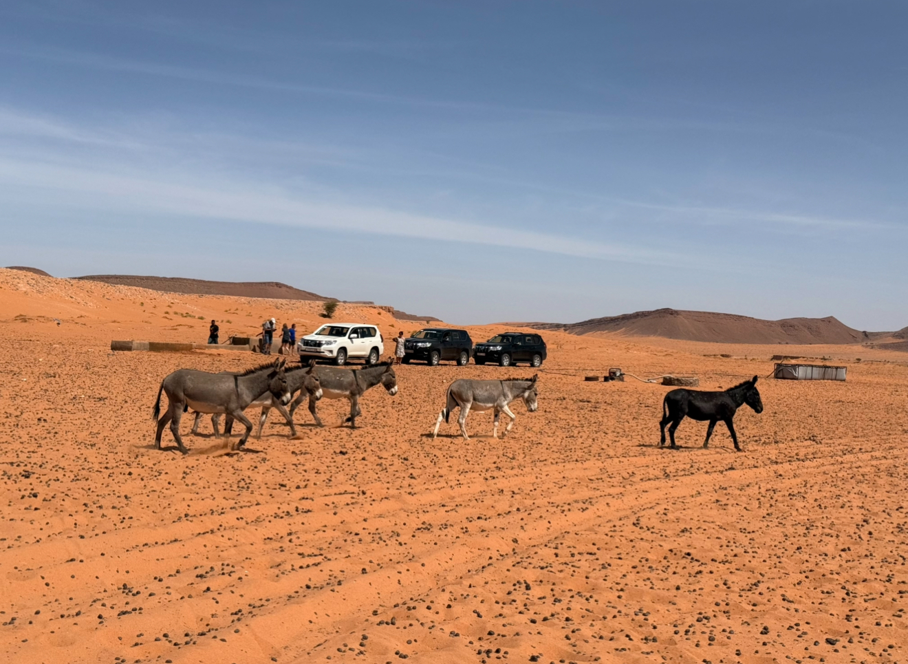 alquiler de coches 4x4 en Marruecos con guía
